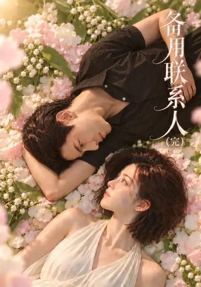 备用联系人 海报